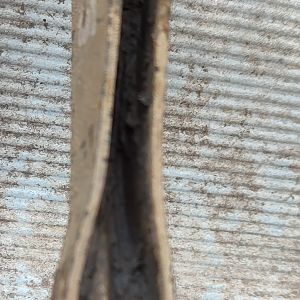 IMG_20240926_180315