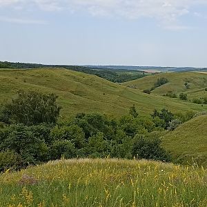 IMG_20240702_113950