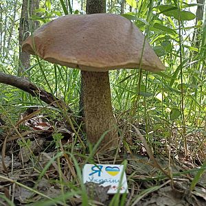 IMG_20240618_120816