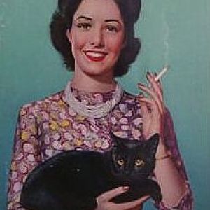 Black Cat