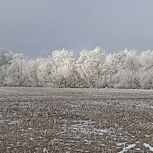 IMG_20241126_101305