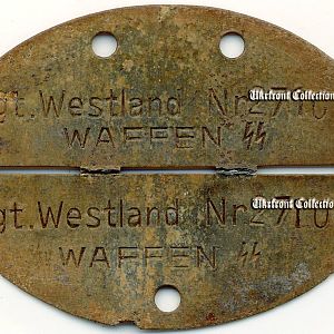 SS Regiment "Westland" Waffen-SS