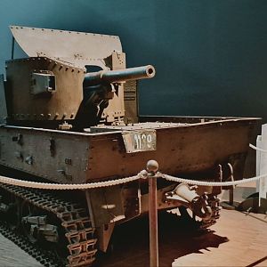 35667485