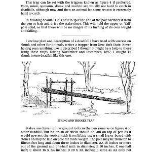Book Of Deadfalls And Snares-изображения-44