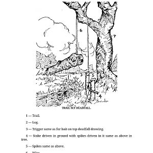 Book Of Deadfalls And Snares-изображения-12