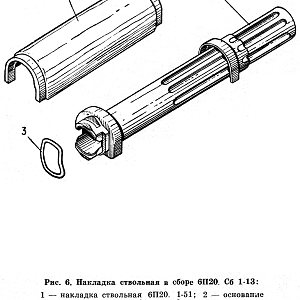 Fig6