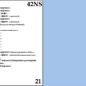 21NS