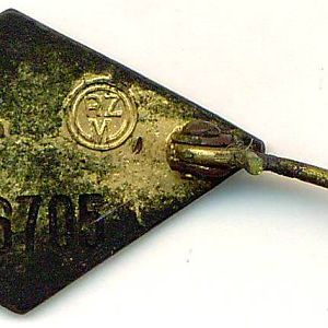 Das Goldene Hitler-Jugend Abzeichen
