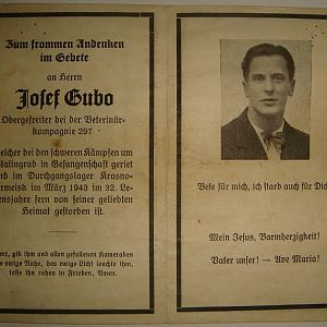 ✠ Josef Gubo