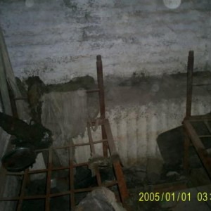 img_2215_11523.jpg