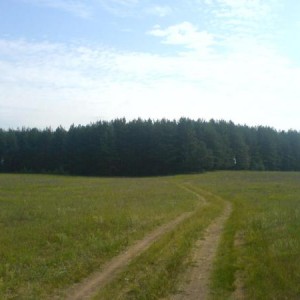 img_5111_14220.jpg