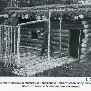 img_7856_8286.jpg