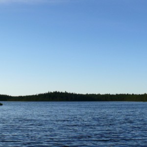 img_9024_211.jpg