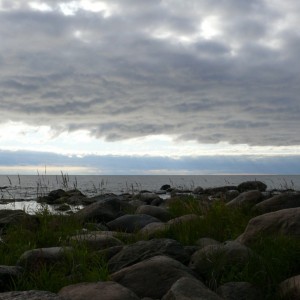 img_9030_211.jpg