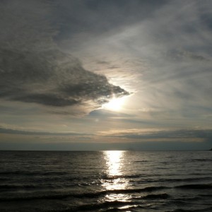 img_9035_211.jpg