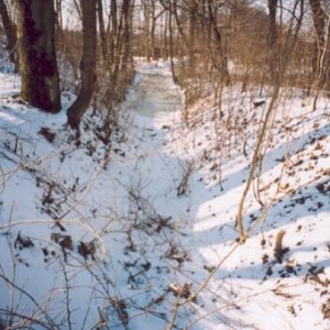 img_9398_8286.jpg