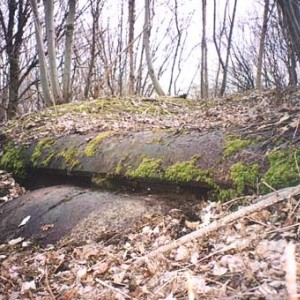 img_9401_8286.jpg