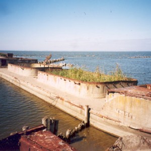 img_9405_8286.jpg