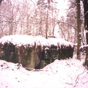 img_9430_8286.jpg