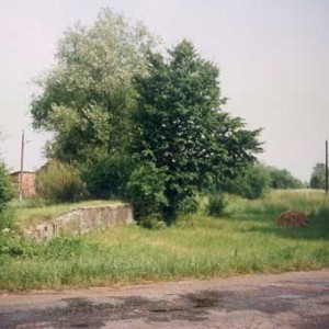 img_9646_8286.jpg