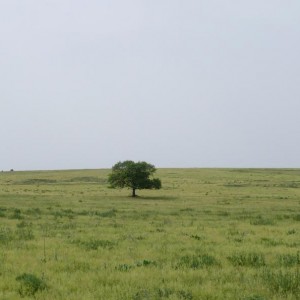img_10870_211.jpg