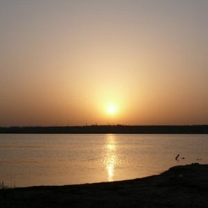 img_10876_211.jpg