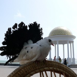 img_10880_211.jpg