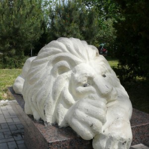 img_10883_211.jpg