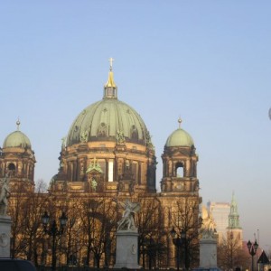 img_11639_8286.jpg