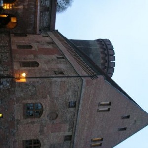 img_11642_8286.jpg