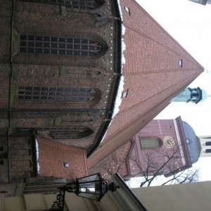 img_11646_8286.jpg