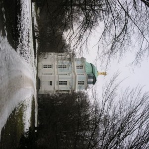 img_11649_8286.jpg