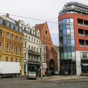 img_11653_8286.jpg