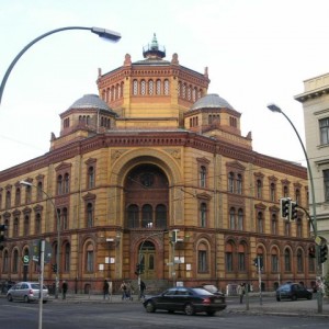 img_11658_8286.jpg