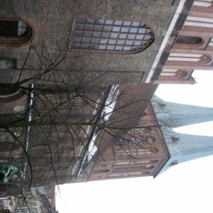 img_11662_8286.jpg