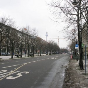 img_11671_8286.jpg