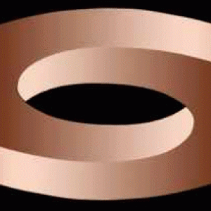 img_13587_9250.gif