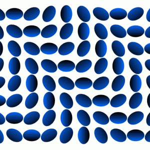 img_13693_9250.gif