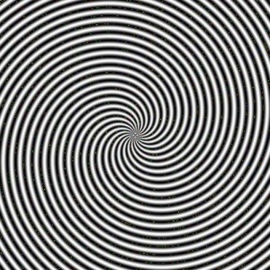 img_13735_9250.gif