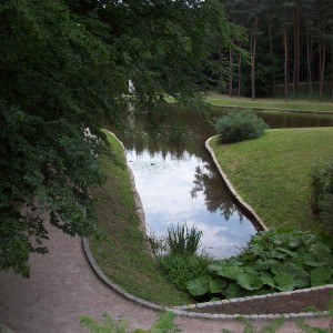 img_14453_13526.jpg