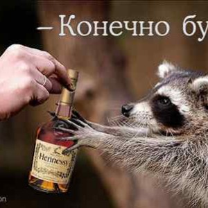 img_14700_12439.jpg