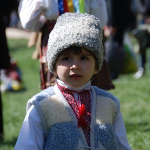 img_15485_211.jpg