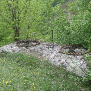 img_16913_15787.jpg