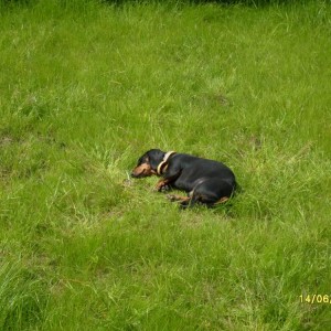 img_21368_2351.jpg