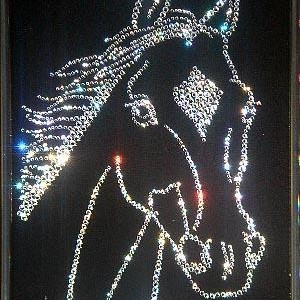 img_22358_5307.jpg