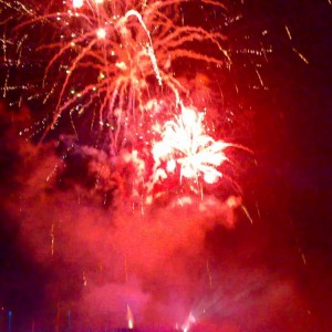 img_23423_8286.jpg