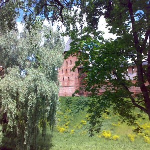 img_23443_8286.jpg