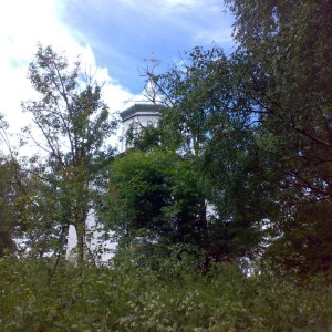 img_23444_8286.jpg