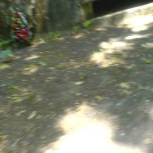 img_24889_15541.jpg