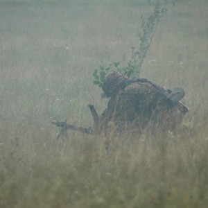 img_27307_18617.jpg